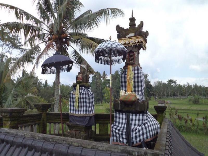 Guest house Ala's Lagoon 3*